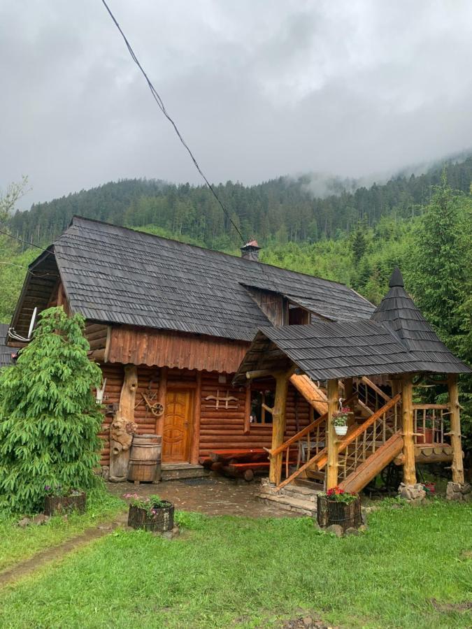 Будинок Художника Synevyrs'ka Polyana Ngoại thất bức ảnh