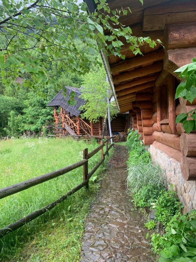 Будинок Художника Synevyrs'ka Polyana Ngoại thất bức ảnh